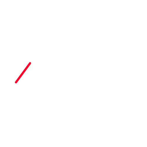 Privacy Icon